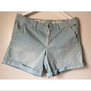 pilcro & the letterpress light blue hyphen shorts